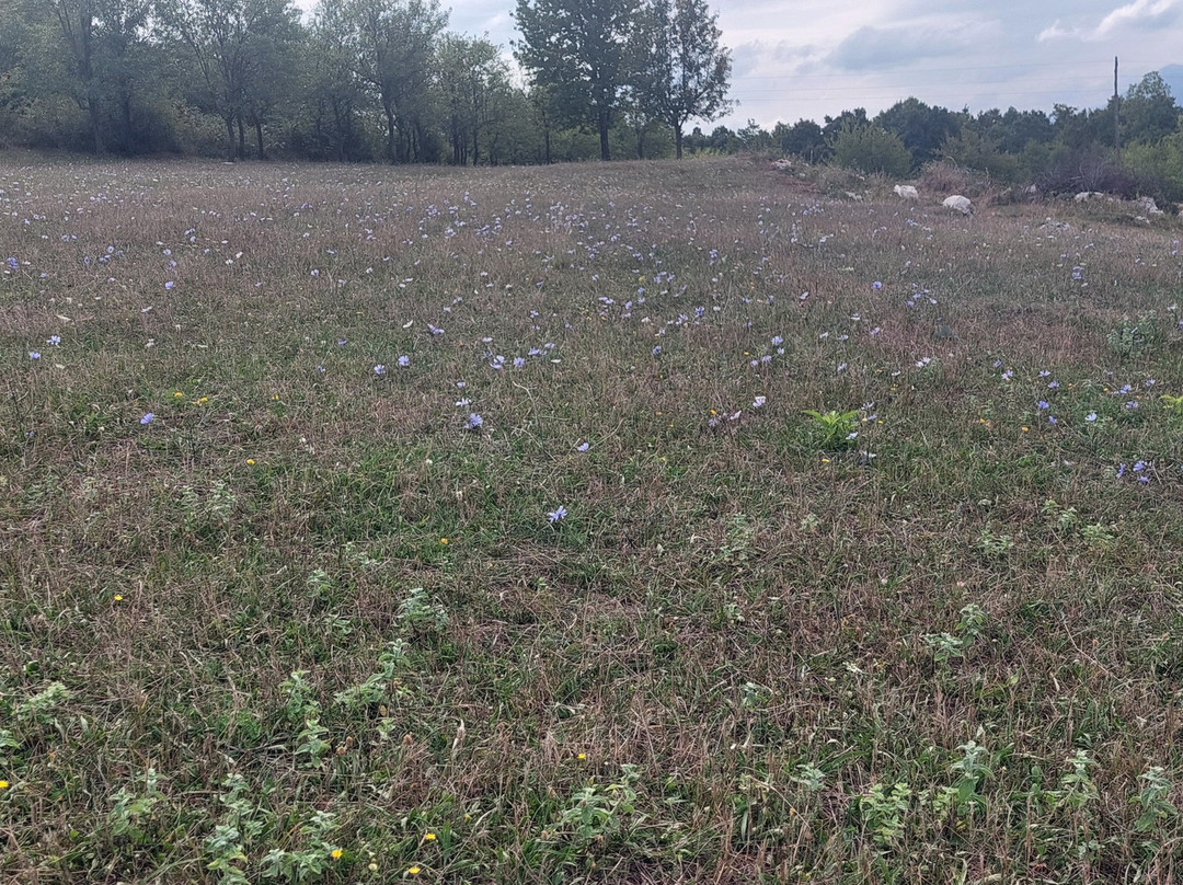 Dreznik Old Town-Dreznik Grad必去景点