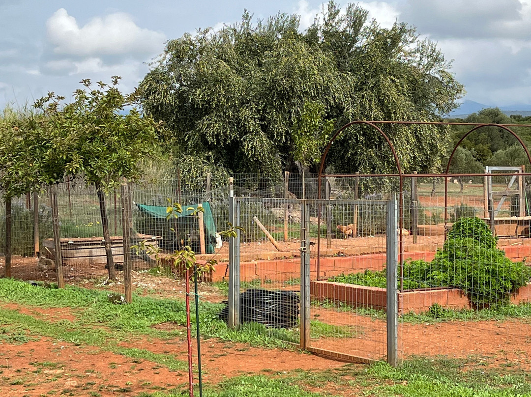 Eumelia Organic Agrotourism Farm主图