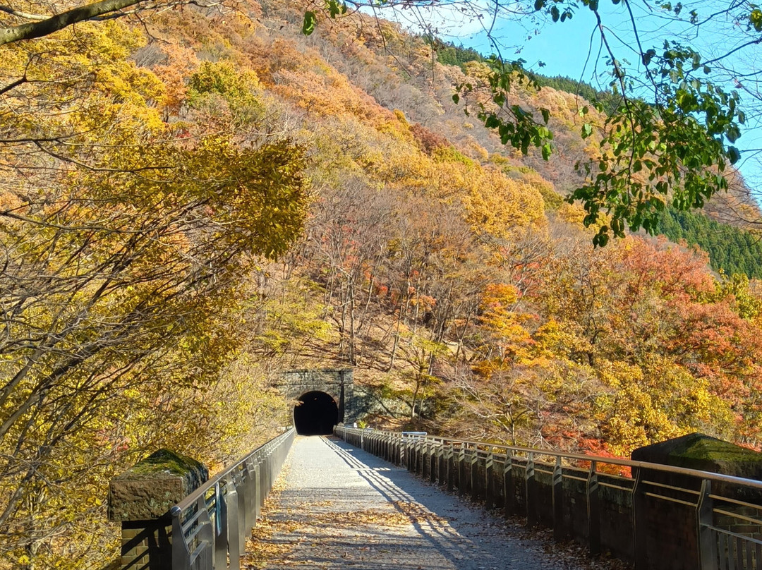 Apt Street-安中市必去景点