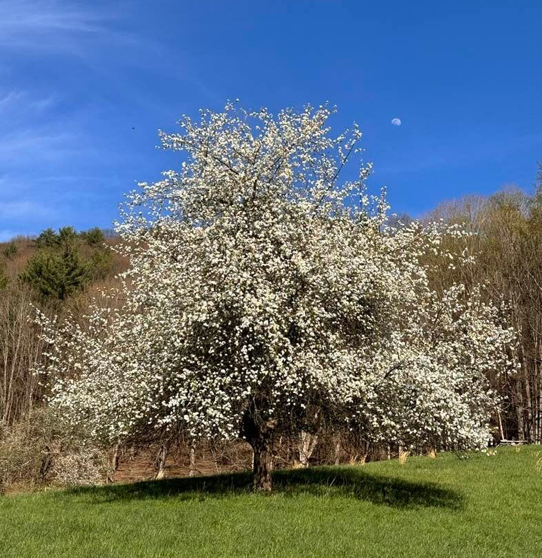 Dry Run Spirits-Franklin必去景点