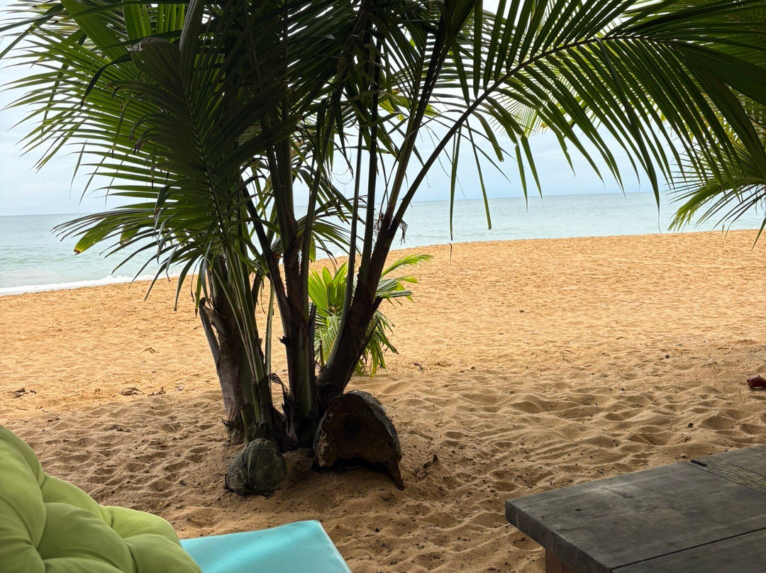 Playa Bluff-Bluff Beach必去景点