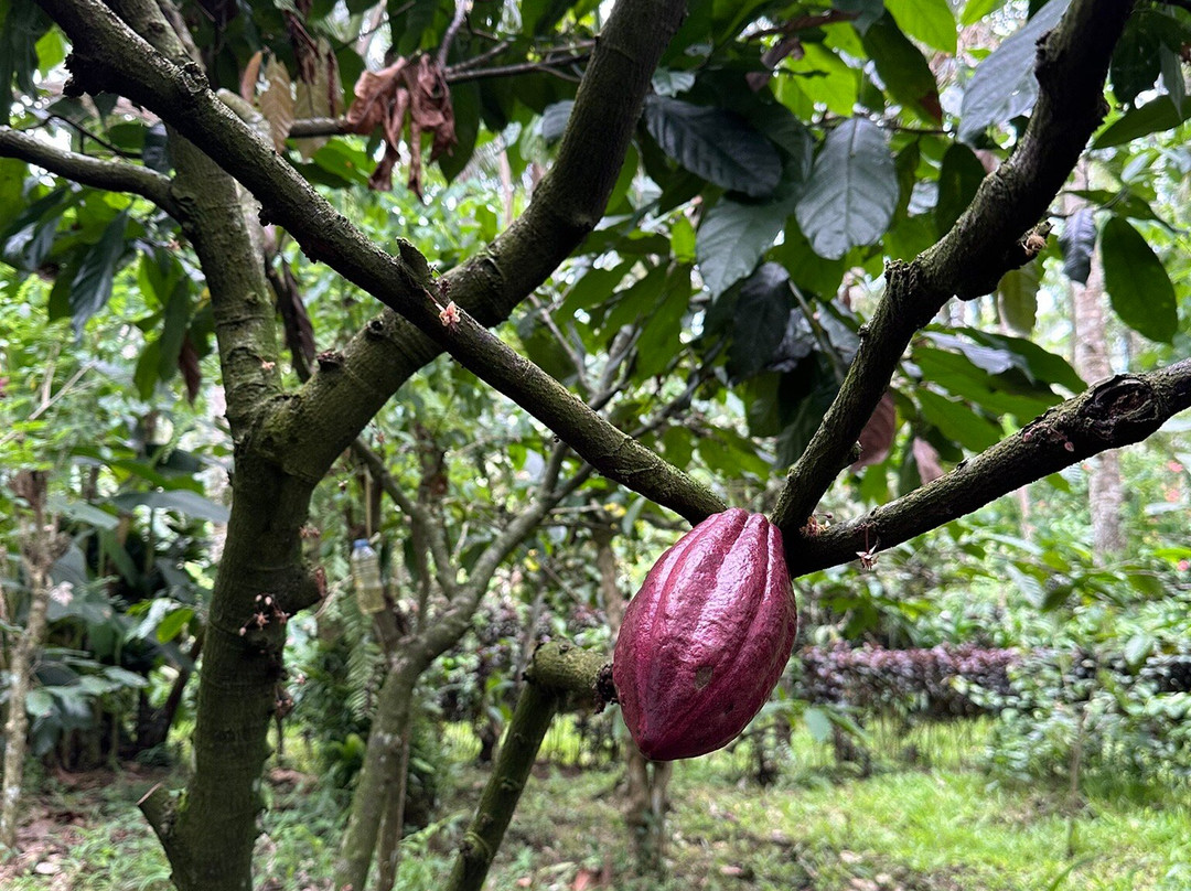 Private Driver Surabaya - Day Tours And Travel Guide-泗水必去景点