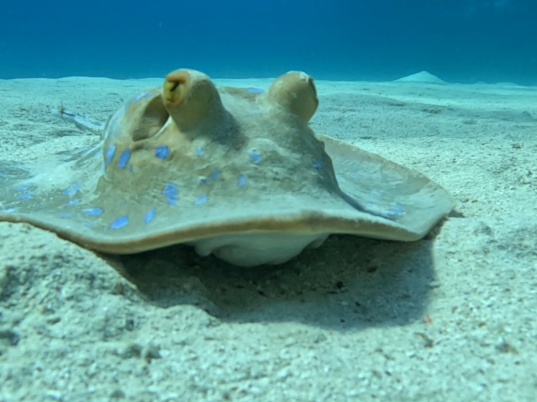 Erlebnis Ägypten-Safaga必去景点