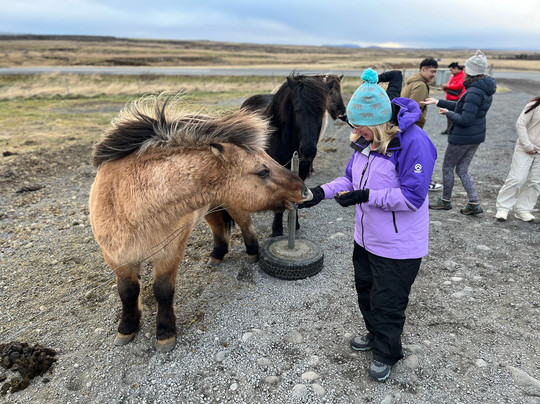 Explore With Spike-底特律必去景点
