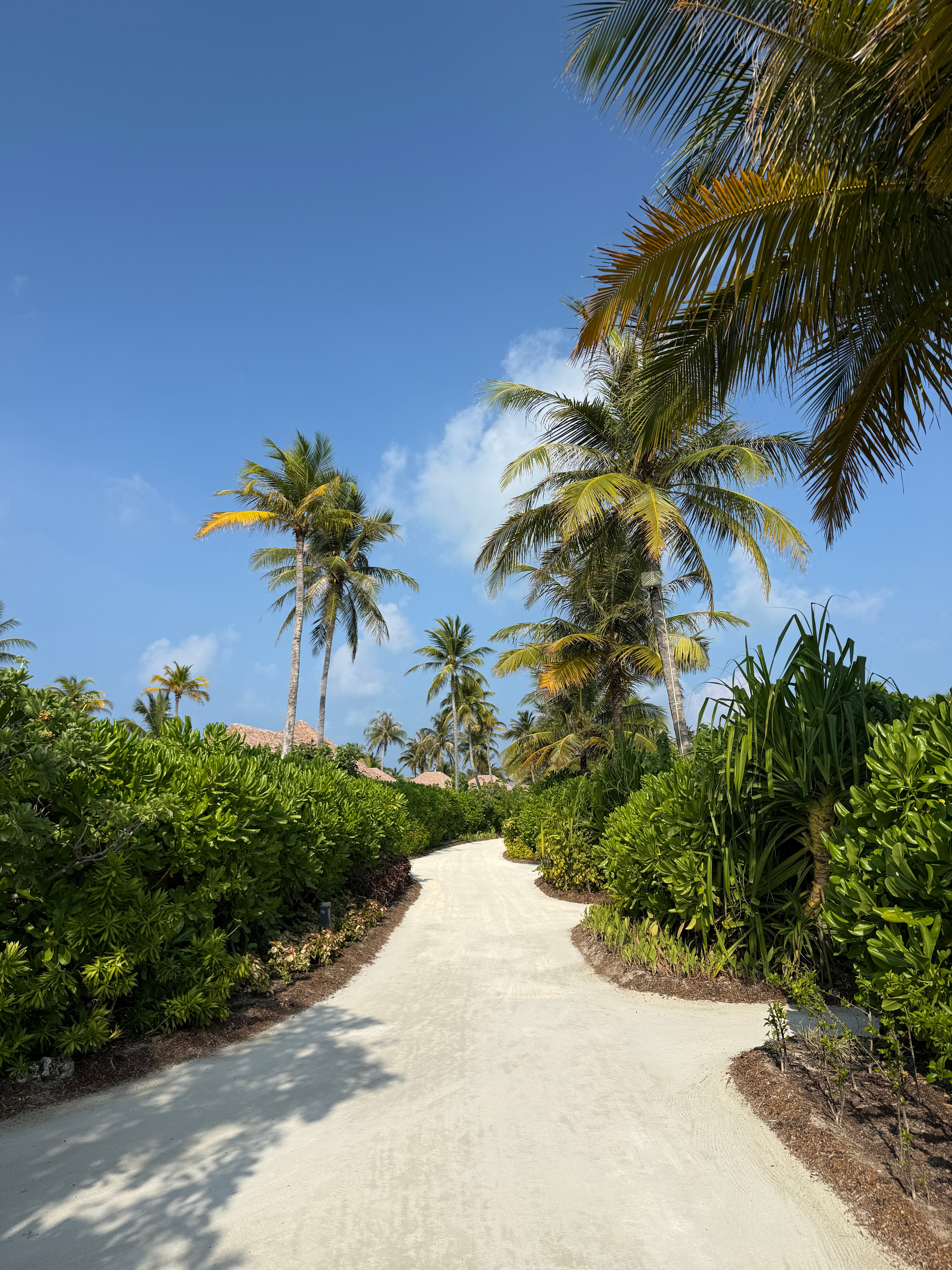 Barceló Whale Lagoon Maldives-浴室