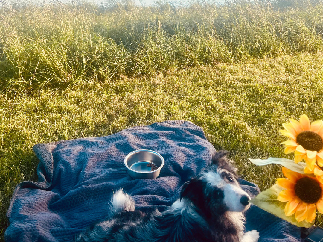 Lake Wairarapa-Featherston必去景点