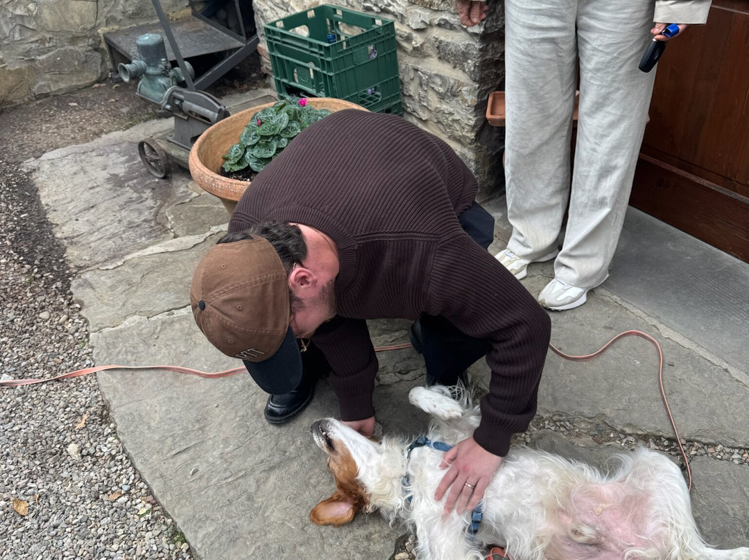 Scenic wine tours in Tuscany-Loro Ciuffenna必去景点