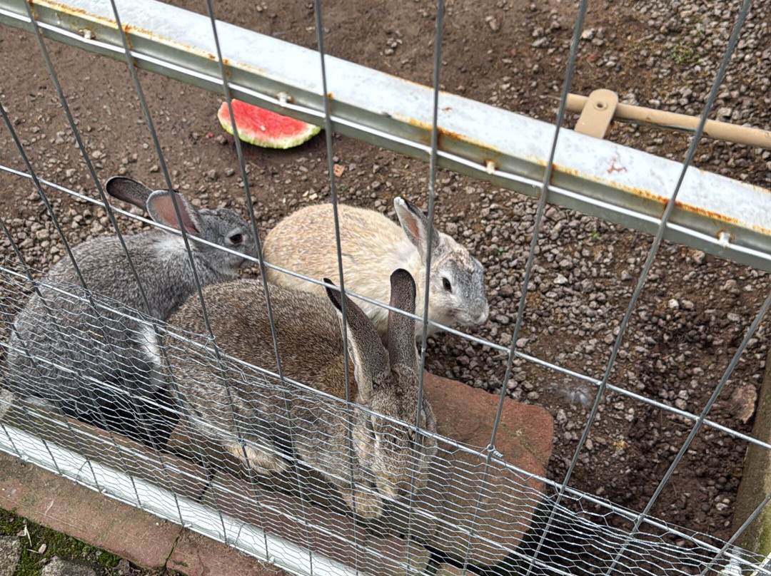 Sítio das Abelhas-Taquara必去景点