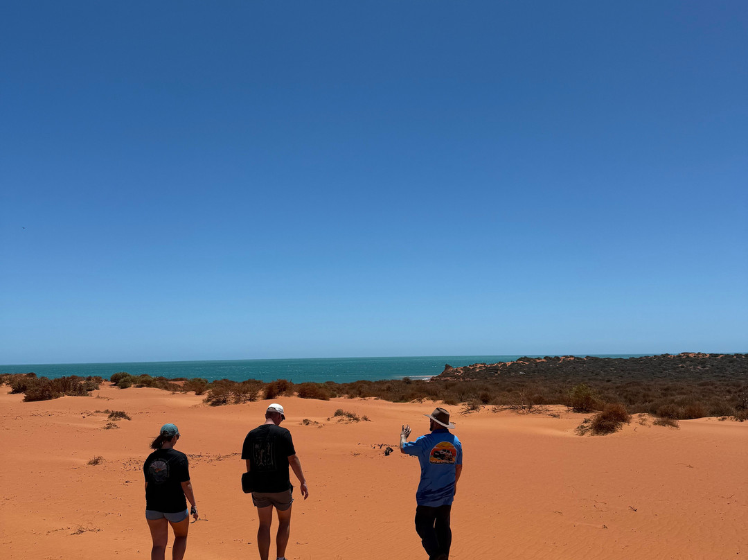 Shark Bay Coastal Tours-德纳姆必去景点