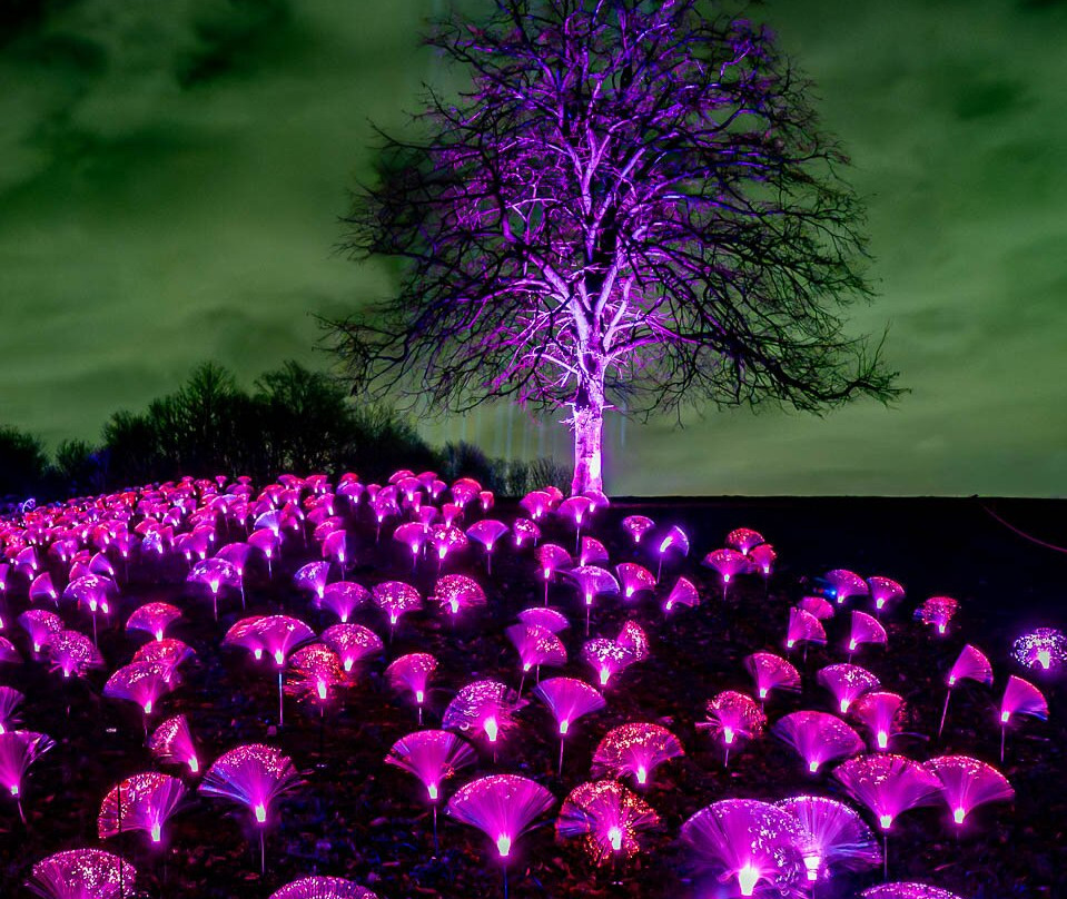 Northern Lights Activity Park-Zverosovkhoz必去景点