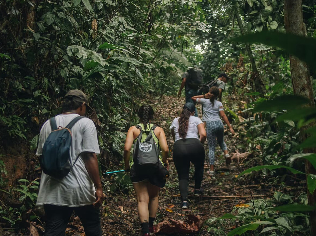 Los Colores Ecoparque主图