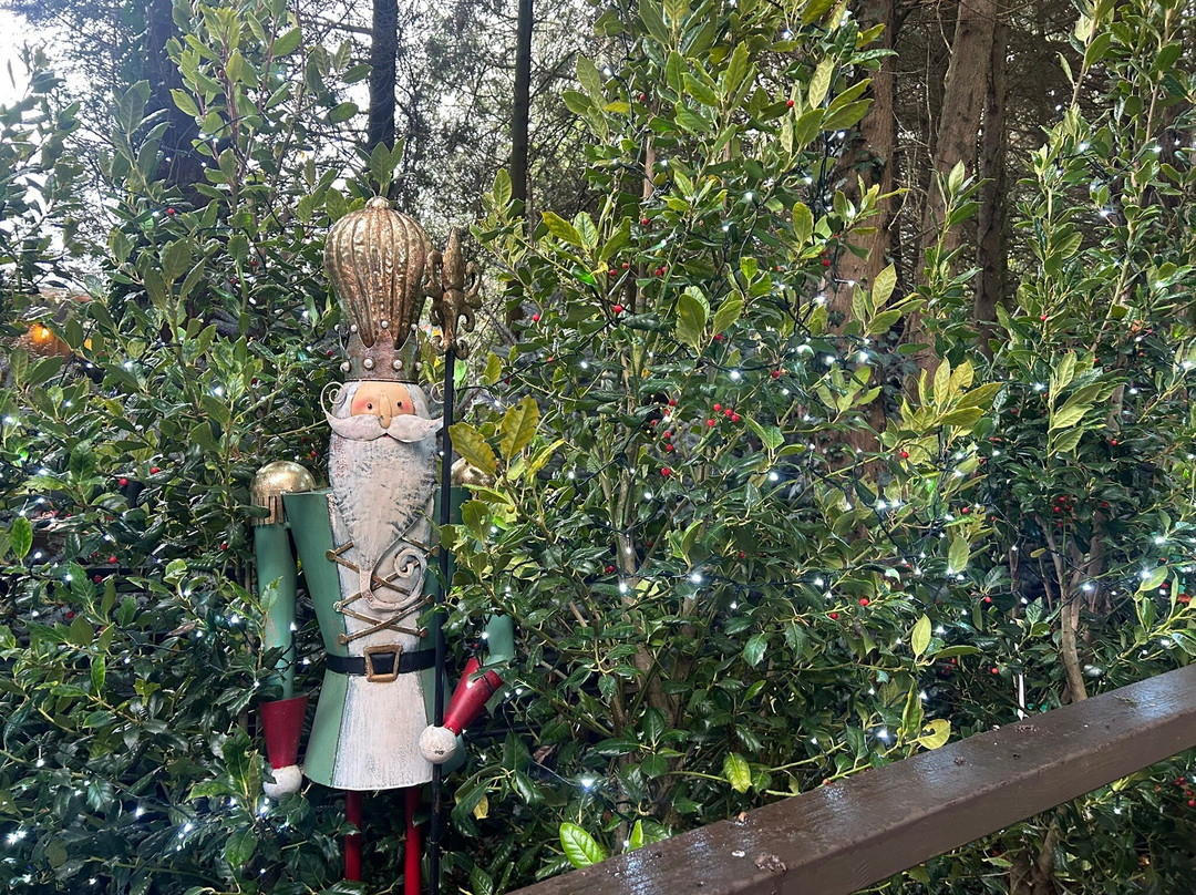 Santa's Grotto At Coolings Lifestyle-Knockholt必去景点