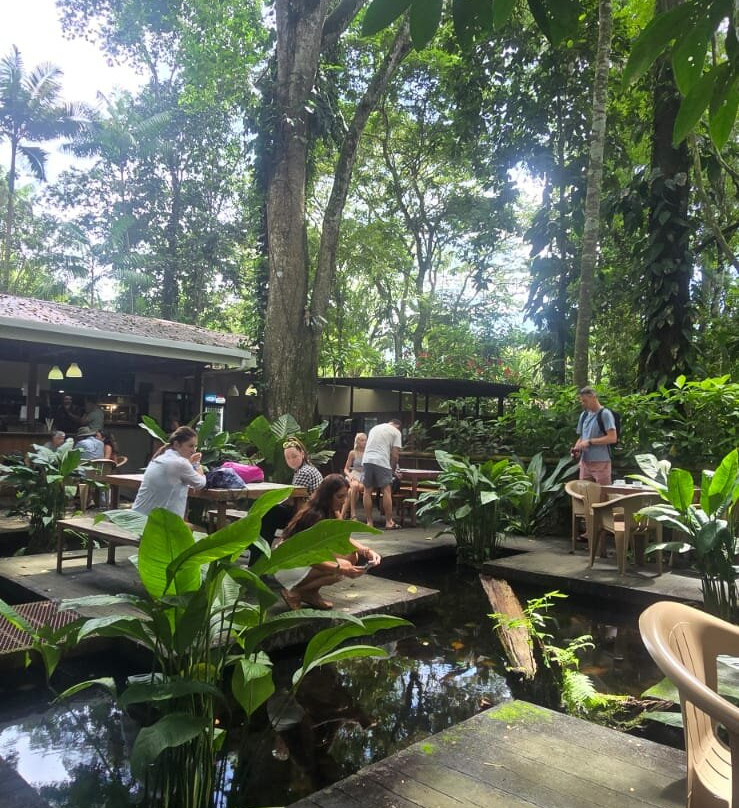 Jaguar Rescue Center-旧港必去景点