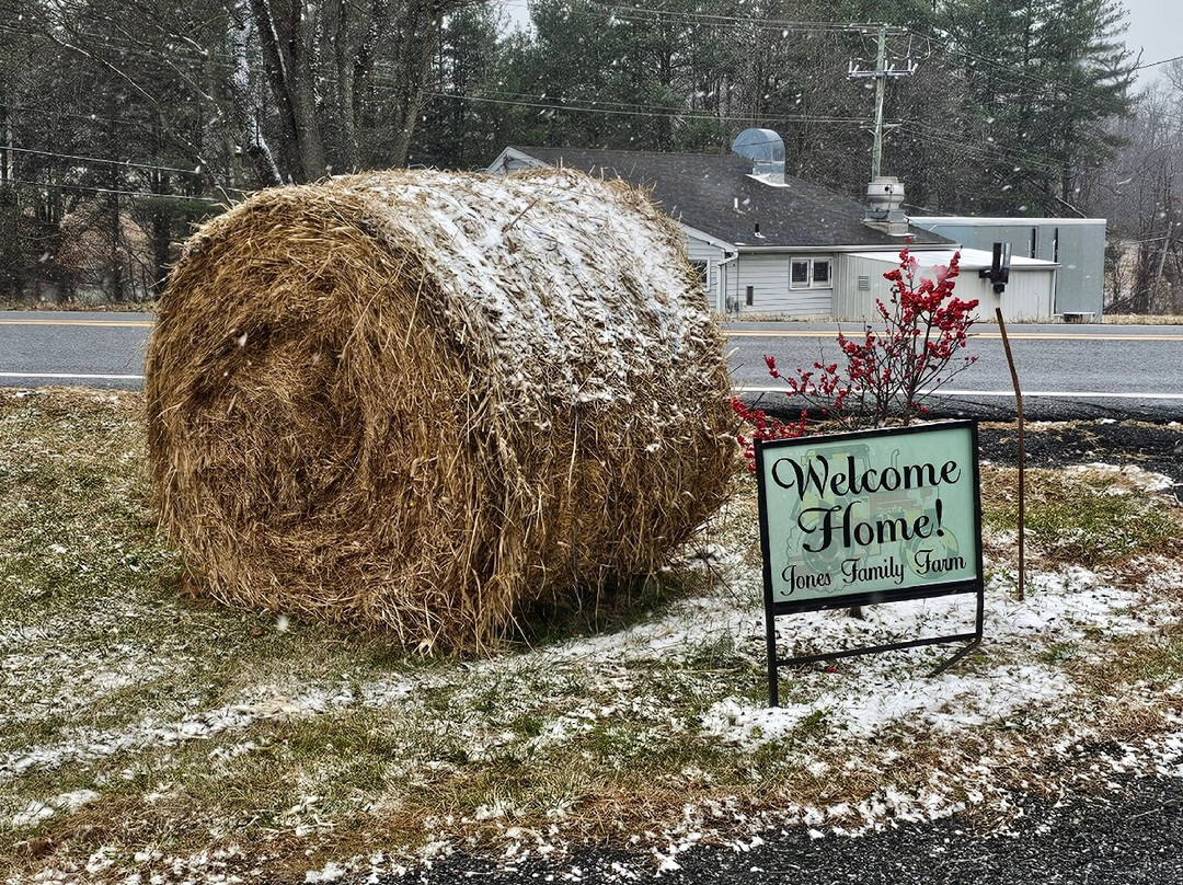 Jones Family Farm-Street必去景点