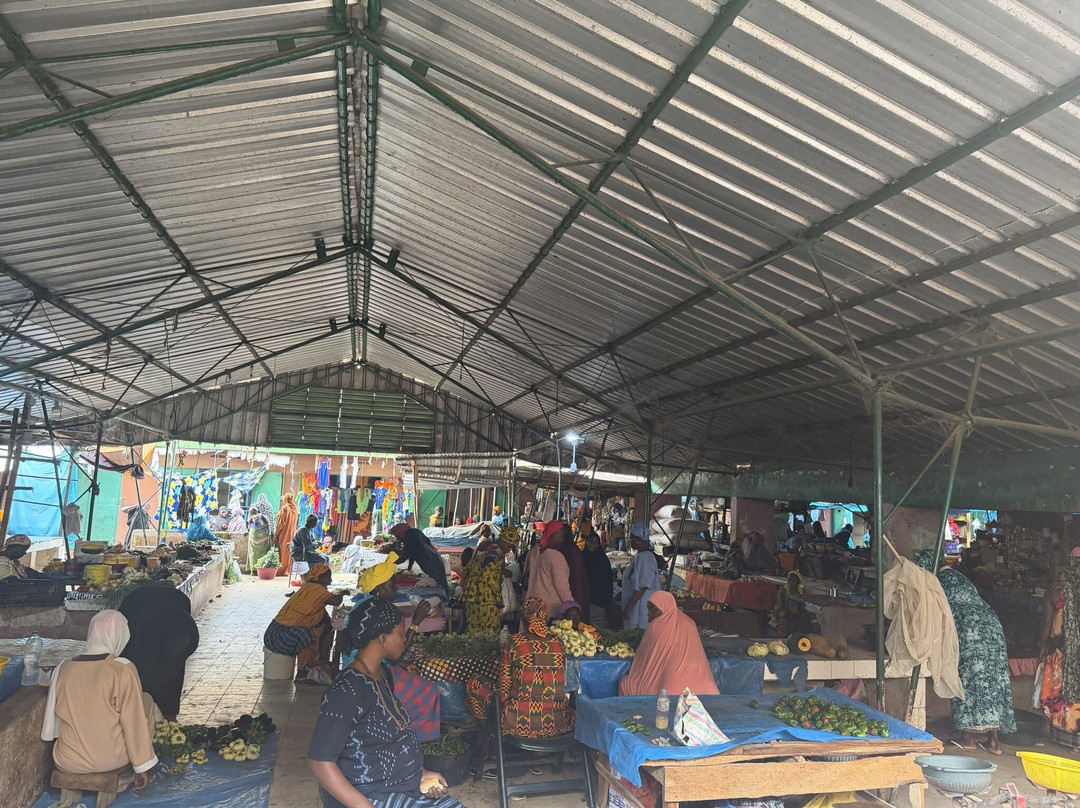 Simon Tours-Kotu必去景点