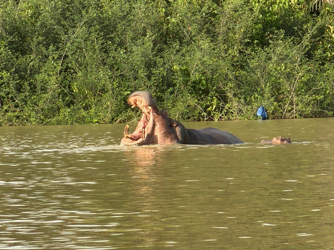 Simon Tours-Kotu必去景点