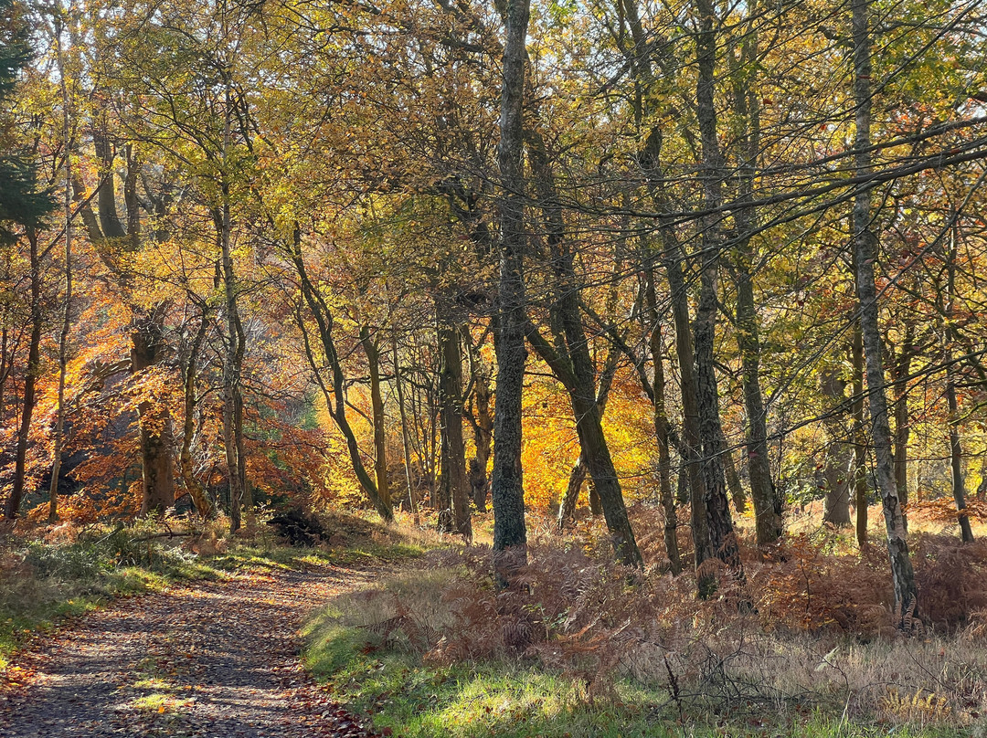 Hepple Wilds Estate-Rothbury必去景点