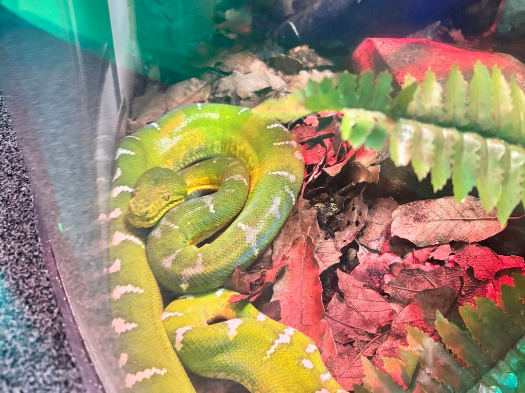 Acuario Michin Guadalajara-瓜达拉哈拉必去景点