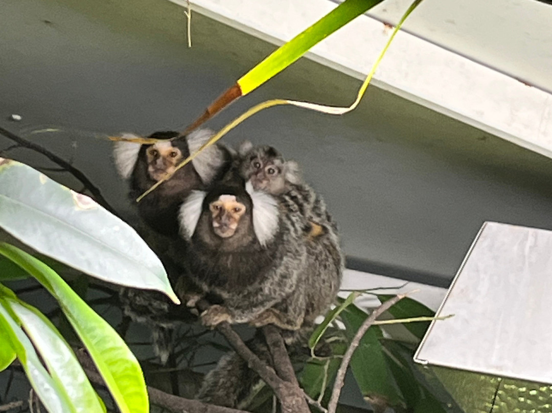 Pangea Park Falster-Nykobing Falster必去景点