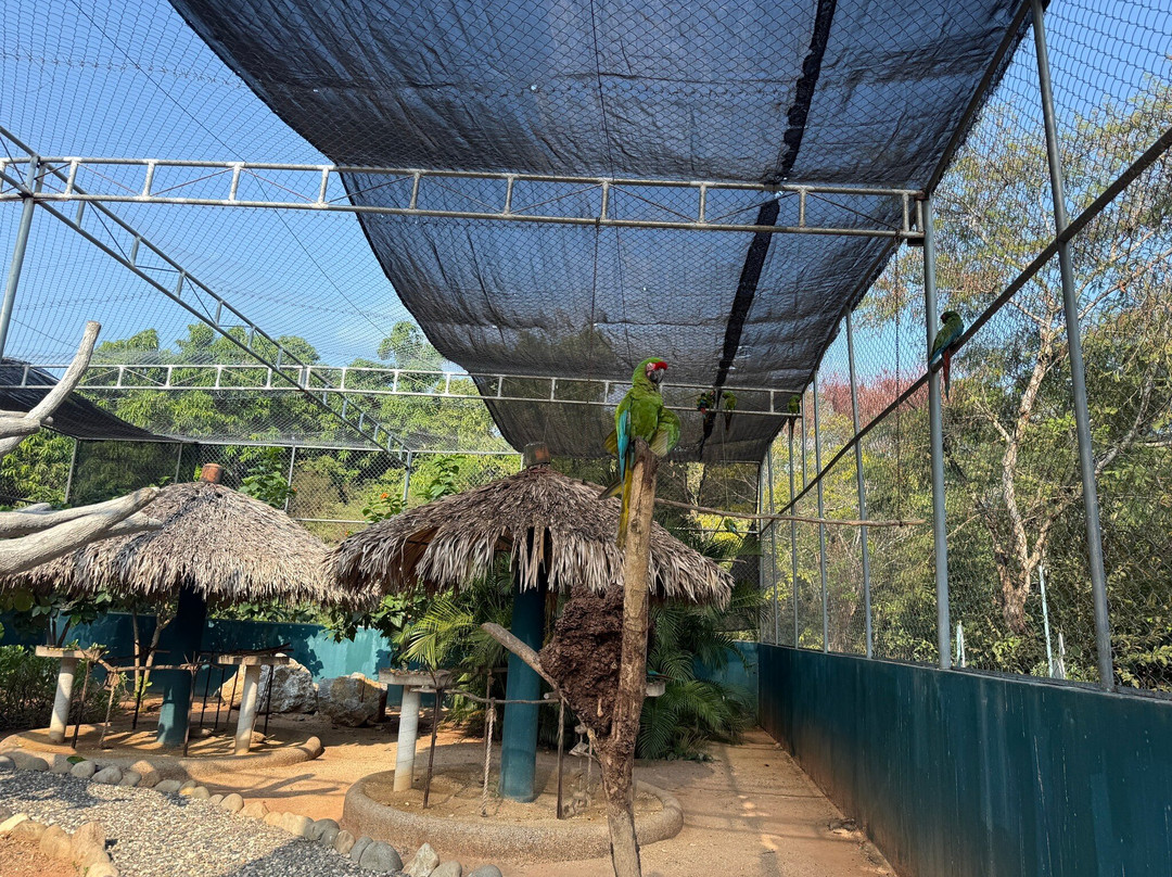 El Refugio de Potosí-芝华塔尼欧必去景点