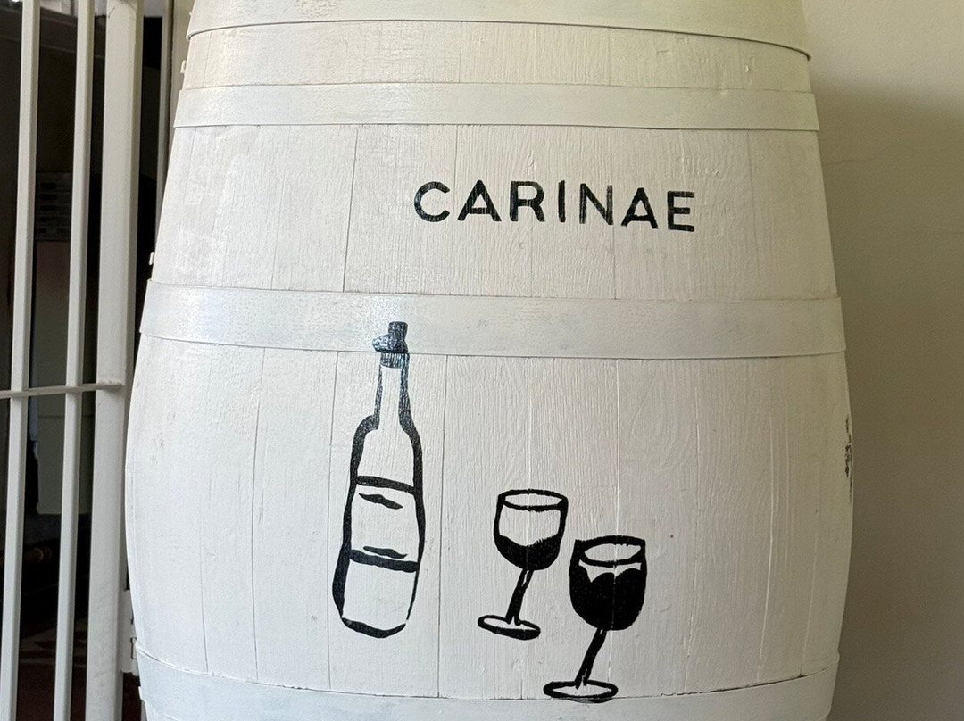 Bodega CarinaE-Maipu必去景点