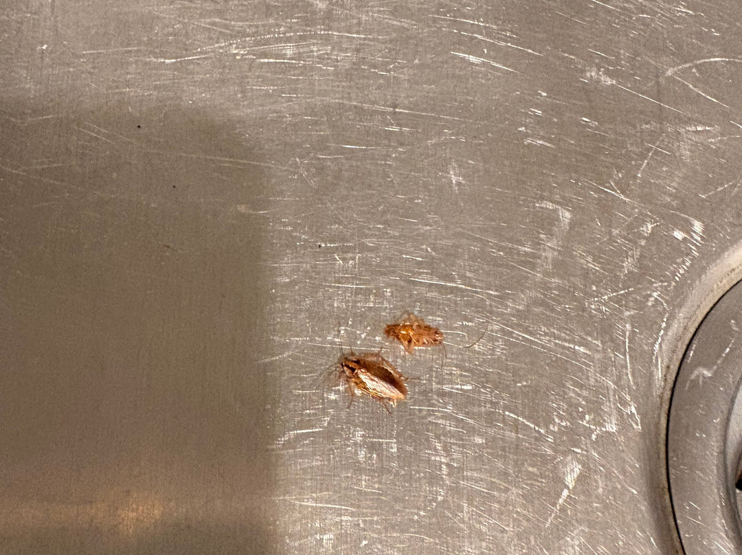 Extended Stay America Select Suites - Kalamazoo - West主图