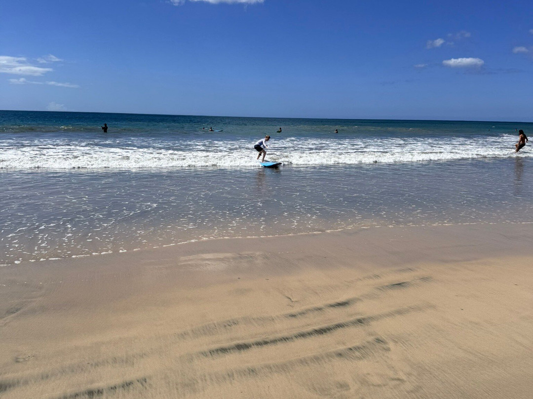 Avellanas Surf School-Playa Avellanas必去景点