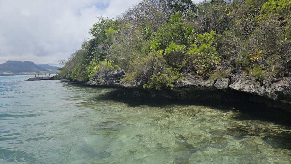 Apollon Cruise-Palmar必去景点