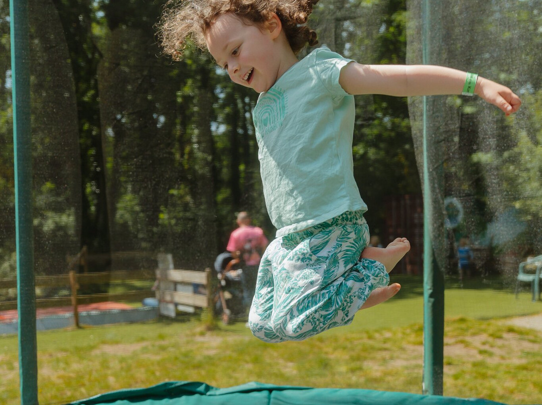 La Vallee des Korrigans et Tepacap!-Savenay必去景点