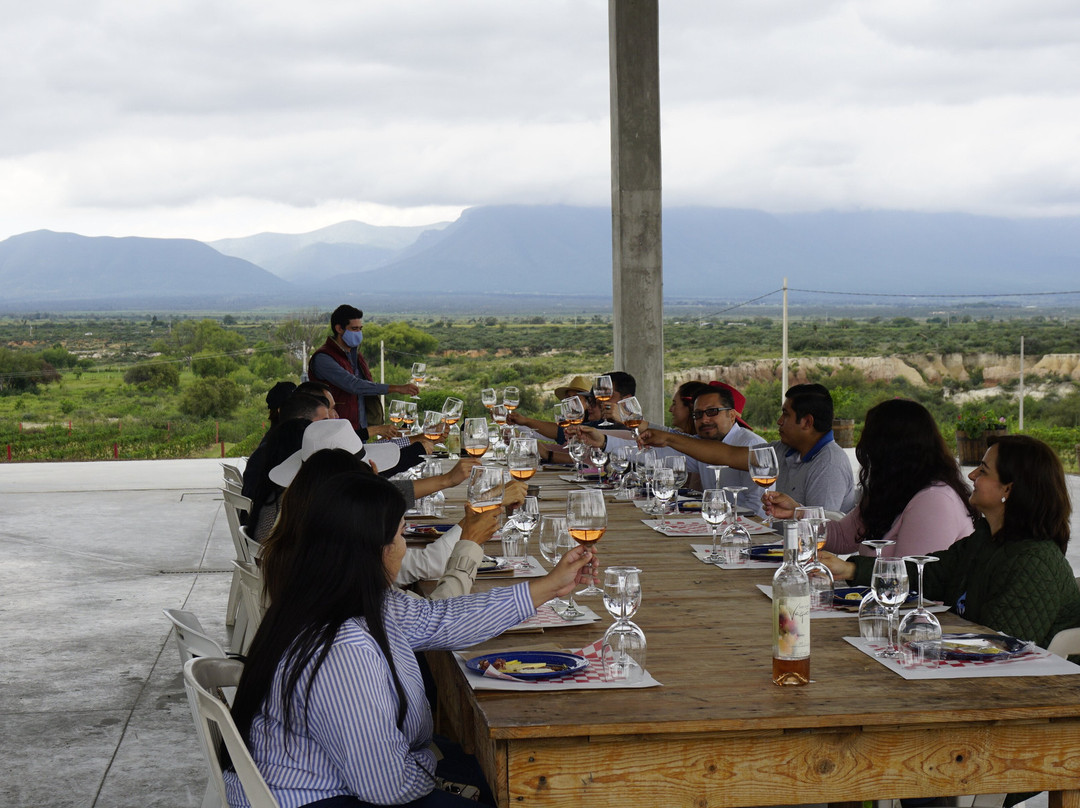 Viñedo San Juan De La Vaqueria-萨尔蒂必去景点