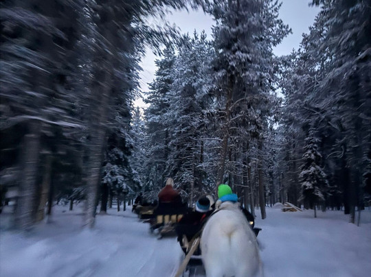 Lapland Safaris Levi-Levi必去景点