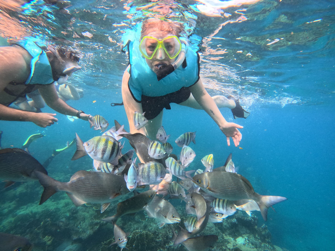 Varadero Diving Tour-Playa Larga必去景点