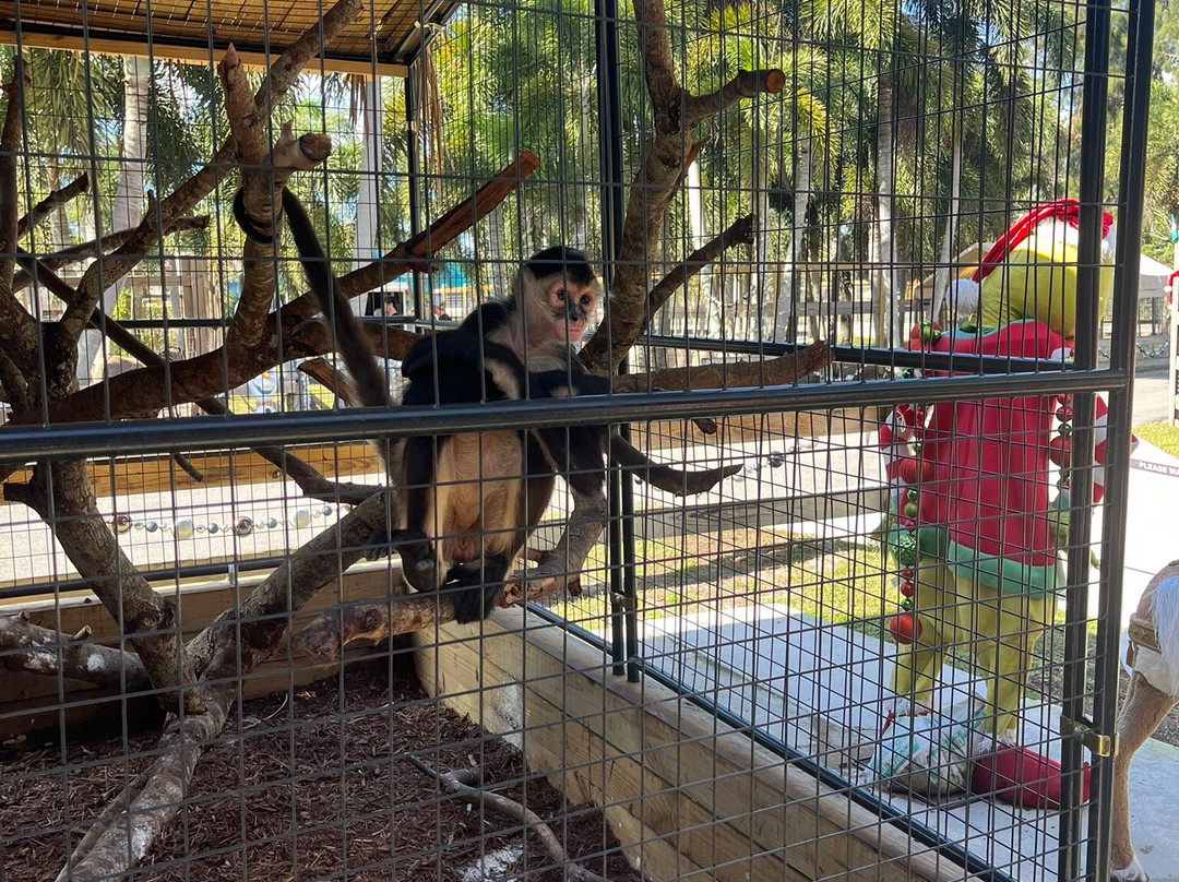 Animal EDventure Park & Safari-博因顿海滩必去景点