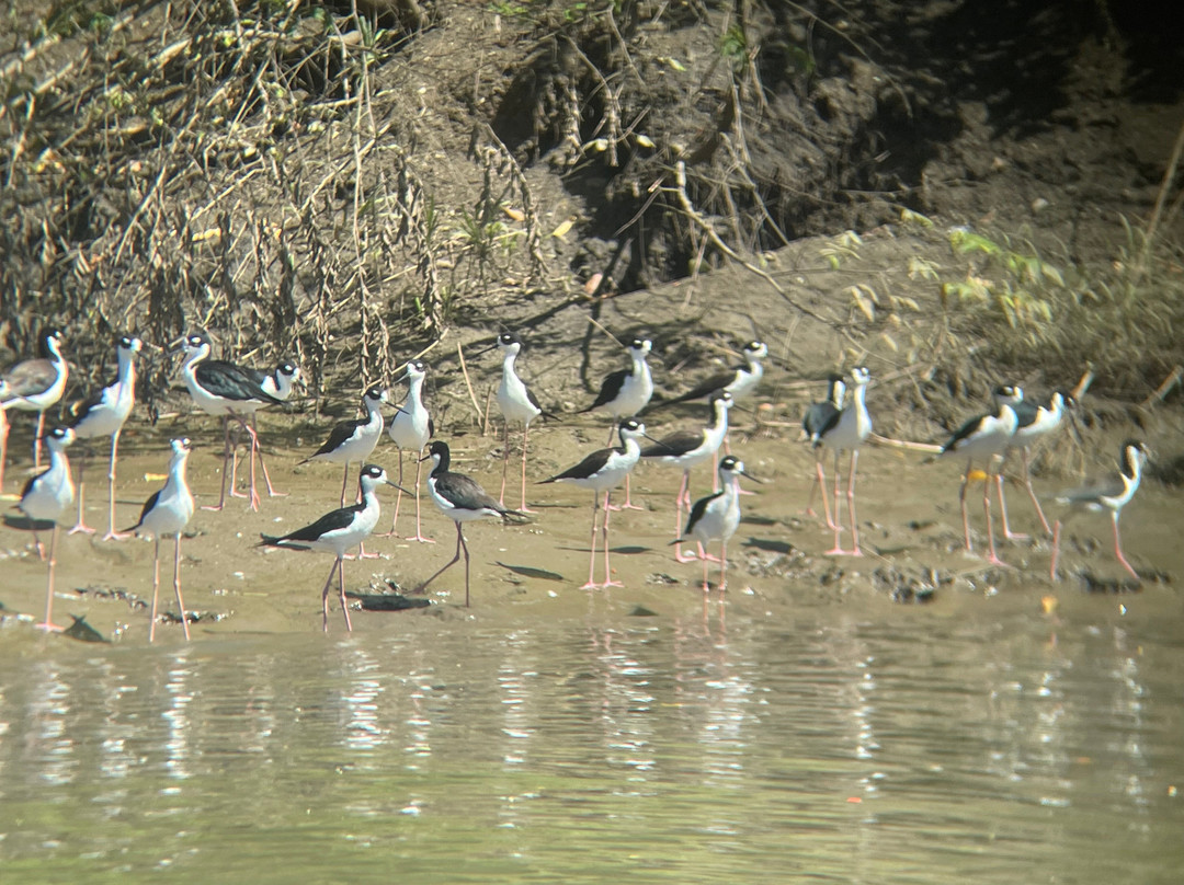 Hacienda El Viejo Wetlands-Area de Conservacion Guanacaste必去景点
