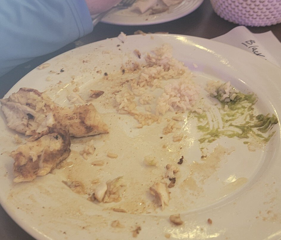 Yucatan Snook-Chuburna必去景点