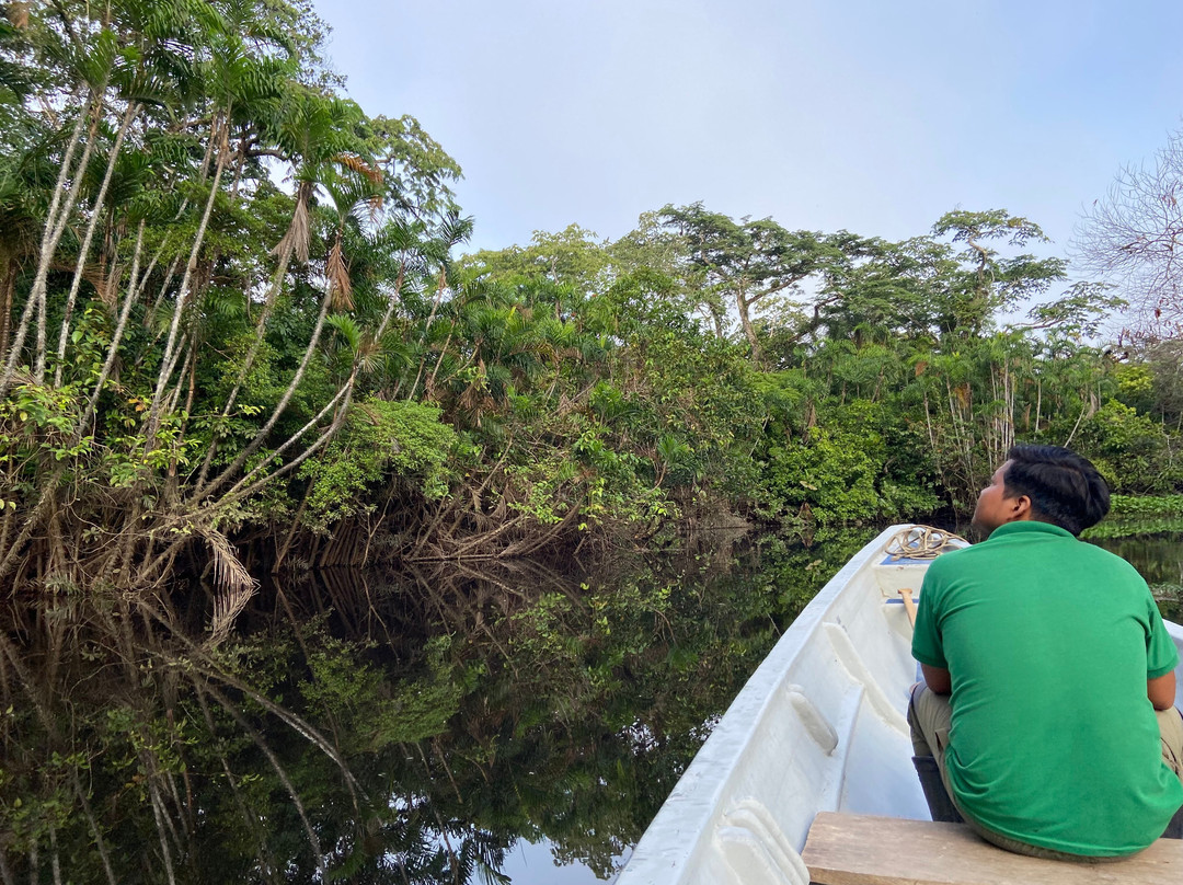 Parque Nacional del Yasuni - Fernando guia en la Amazonia-Coca必去景点
