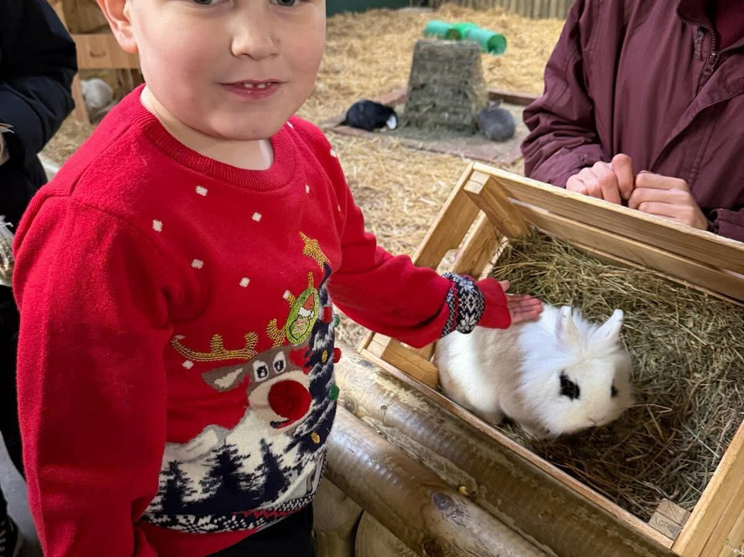 Attwell Farm Park-雷迪奇必去景点