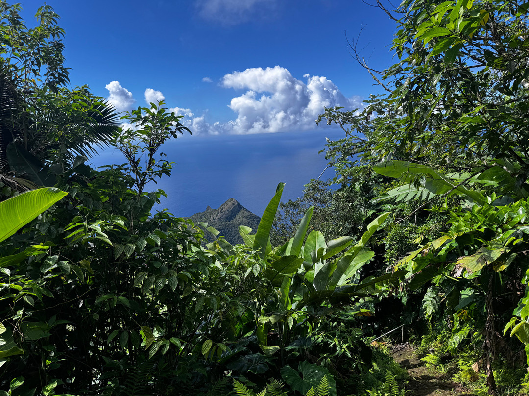 Mount Scenery-Windwardside必去景点