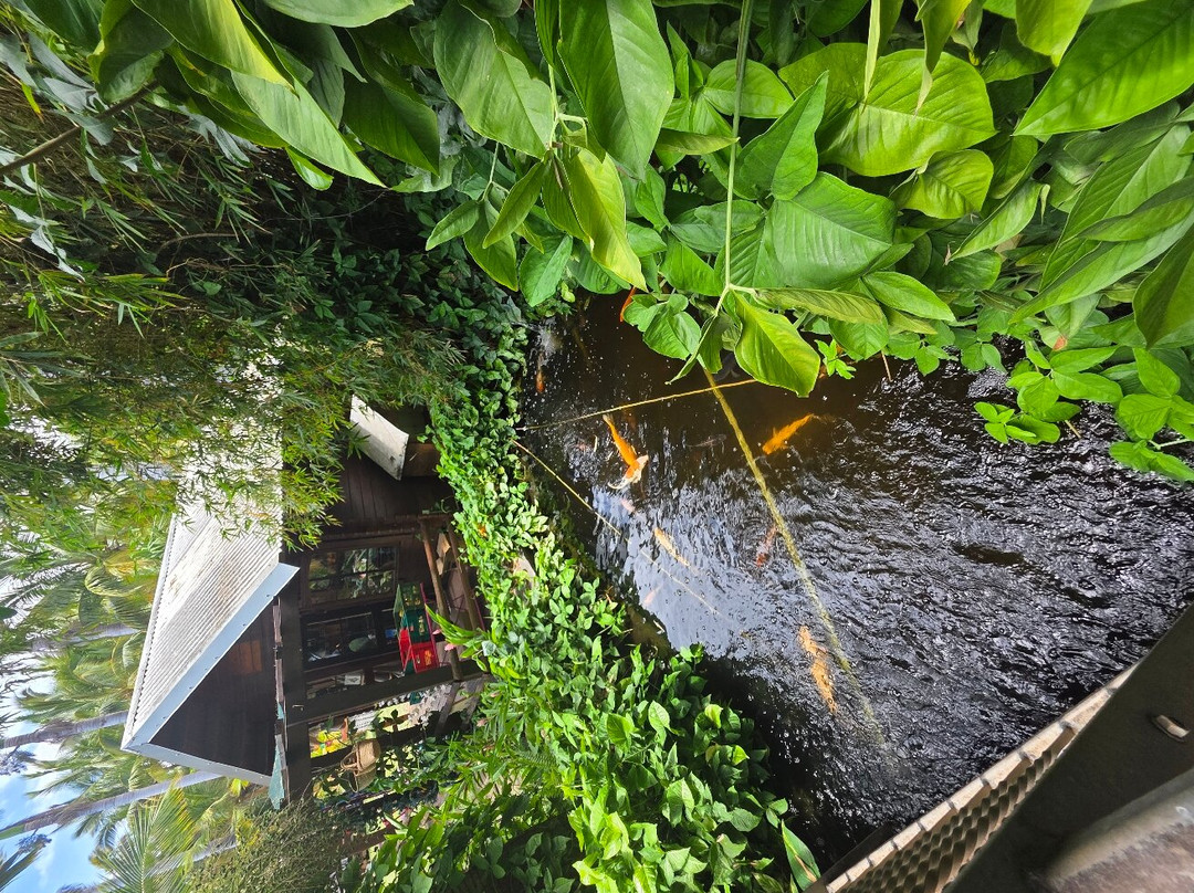 La Maison du Coco-圣亮必去景点