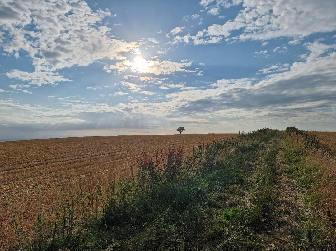 Travelodge Devizes Hotel主图