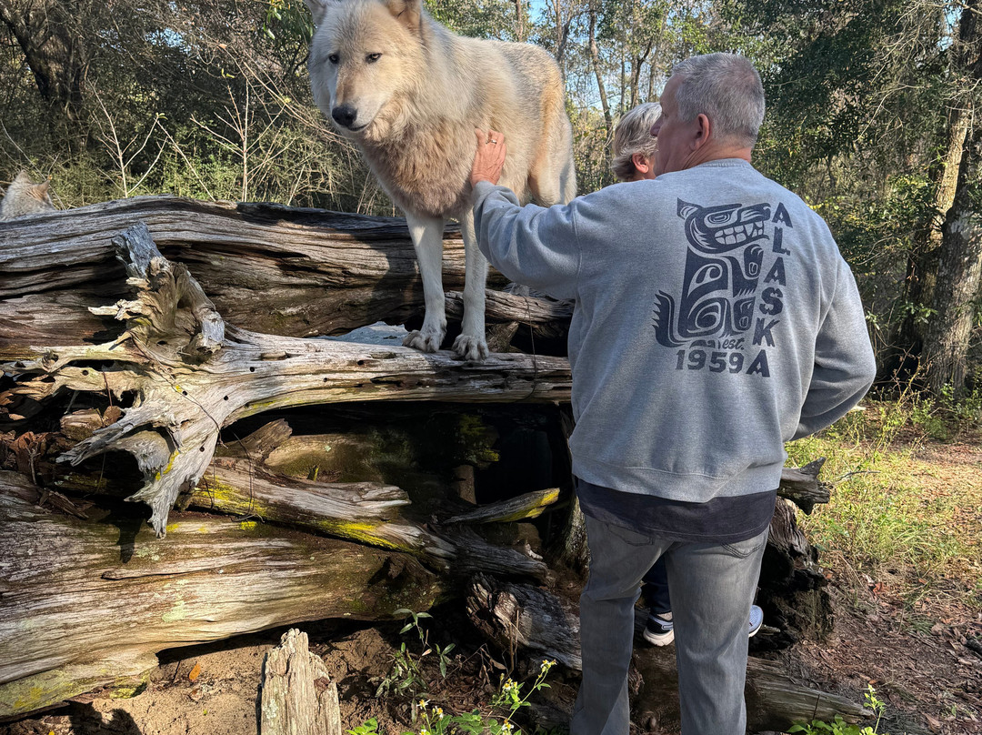 Seacrest Wolf Preserve-Chipley必去景点