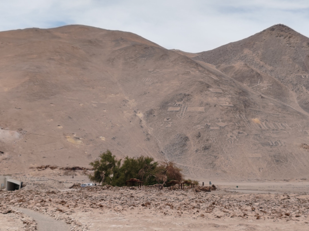 Geoglifos Pintados, Pozo Almonte-伊基克必去景点