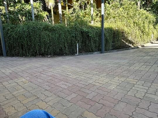 Silvanus Forest Retreat, Alibaug主图