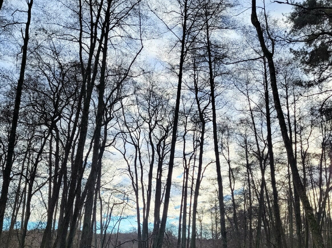 Strandhotel Buckow主图