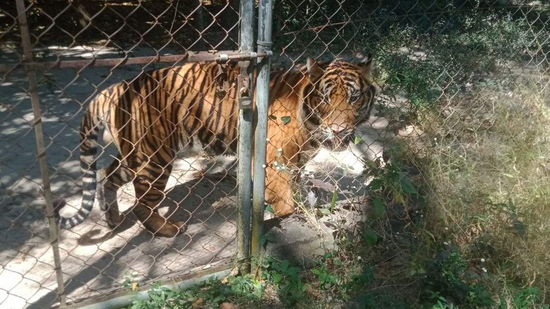 Cambodia Private Taxi Driver-金边必去景点