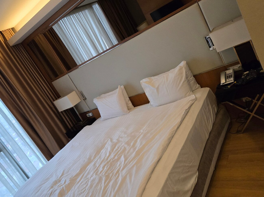 Ramada Plaza By Wyndham Konya主图