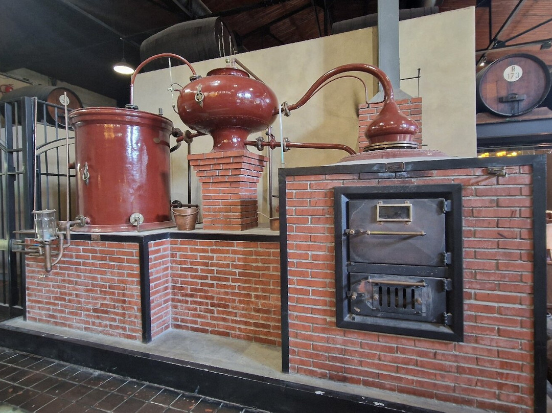 Van Ryn's Distillery and Brandy Cellar-斯泰伦博斯必去景点