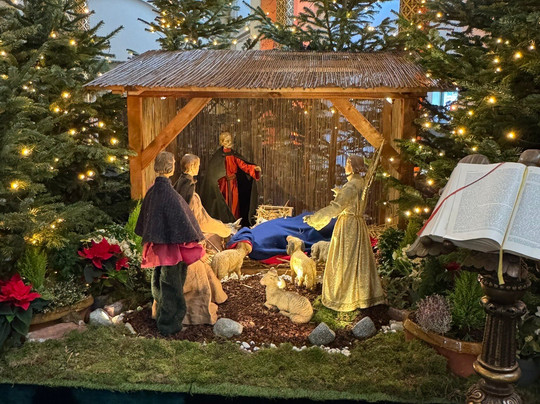 Stadtkirche St. Dionysius-克雷菲尔德必去景点