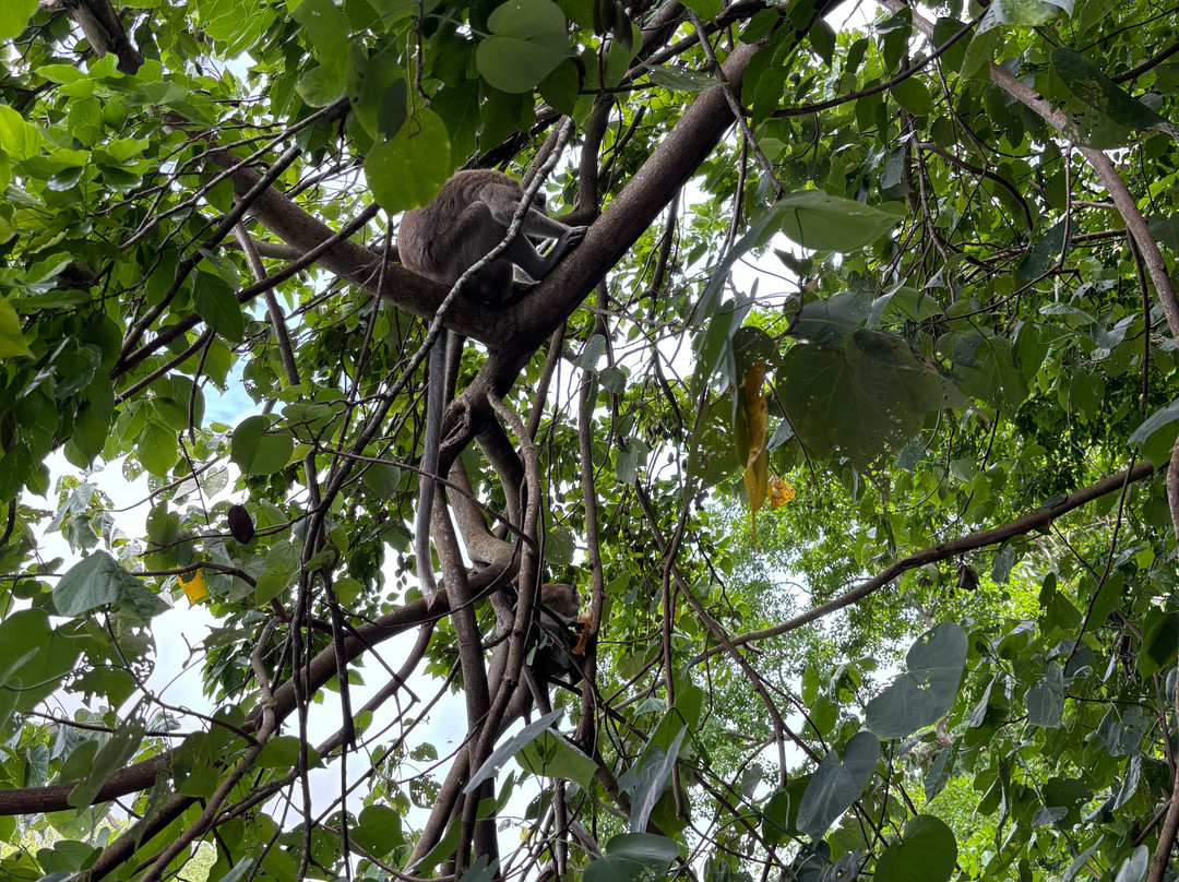 Apollon Cruise-Palmar必去景点