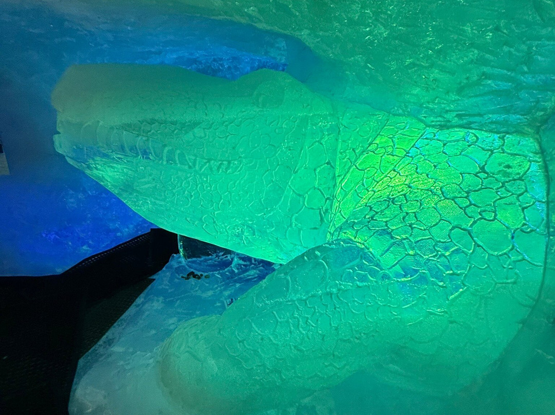 Glacier Cave-莱德萨阿尔卑斯必去景点